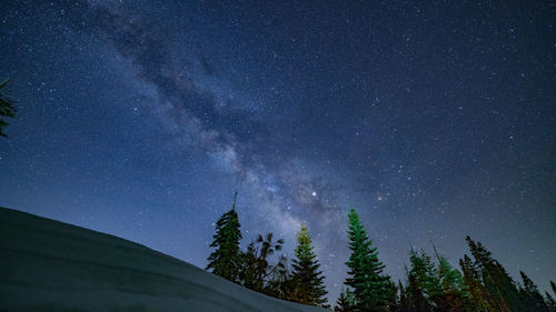 Low angle view of trees against sky at night