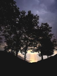 Low angle view of silhouette trees against sky