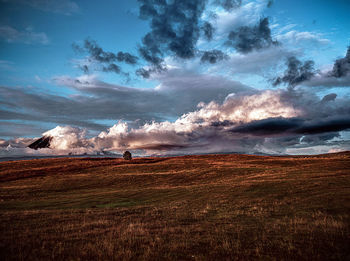 Scenic view of field against sky