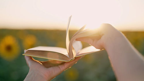 Cropped hand of person holding plant