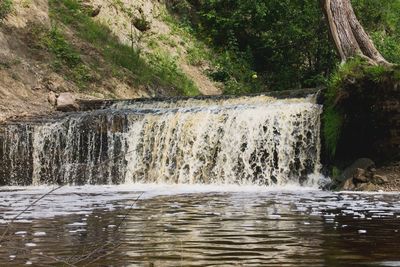 Scenic view of waterfall in forest