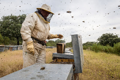 Rural and natural beekeeper, working to collect honey from hives
