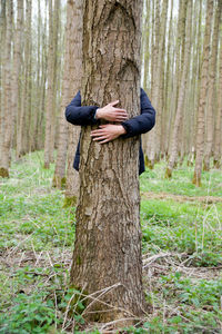 Full length of hand on tree trunk in forest