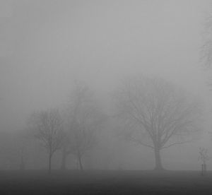 Bare trees on landscape against sky