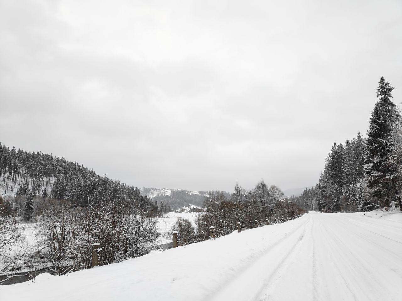 snow, cold temperature, winter, tree, plant, sky, beauty in nature, scenics - nature, white color, nature, no people, transportation, tranquility, tranquil scene, day, covering, cloud - sky, road, non-urban scene, snowing, long