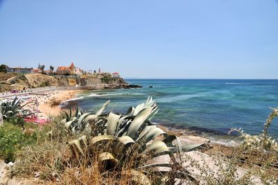 sea