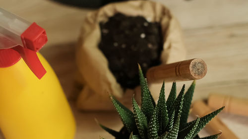 Transfer of plants to another pot, close-up of a gardener holding garden tools in his hand