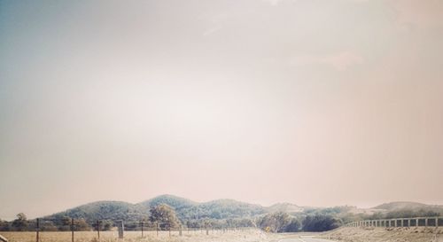 Scenic view of field against clear sky