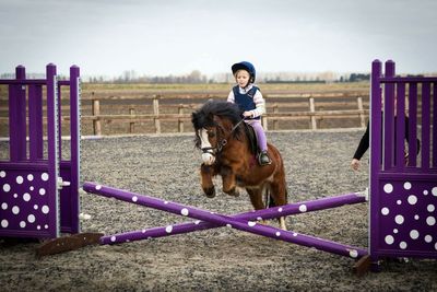 Girl riding horse on field