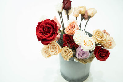 Close-up of rose bouquet against white background