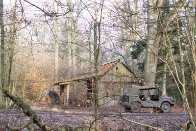 Abandoned house by bare trees in forest