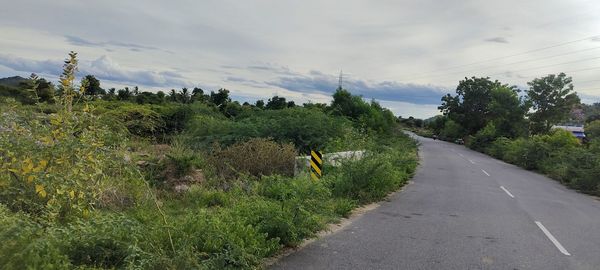 Road amidst trees against sky