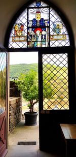 Trees seen through glass window of building