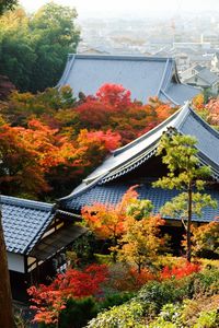 High angle view of house during autumn