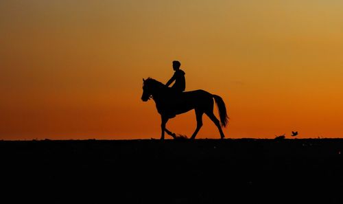 Silhouette riding horse