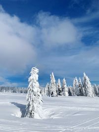 Snow covered landscape against sky