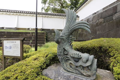 Close-up of statue in greenhouse