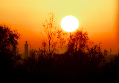 Sun shining through trees