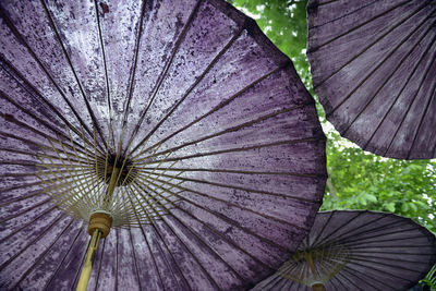 Low angle view of purple parasols