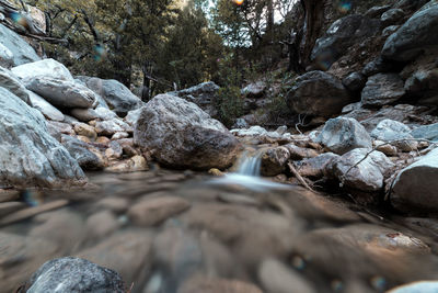 Stream flowing through rocks in forest