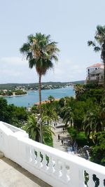 High angle view of palm trees by sea