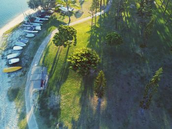 High angle view of road amidst trees