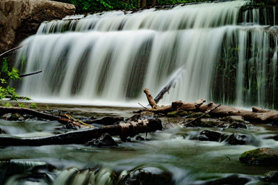 Scenic view of waterfall in forest