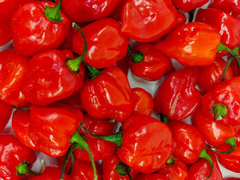 Full frame shot of red chili peppers