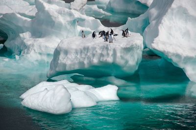 Group of people in ice