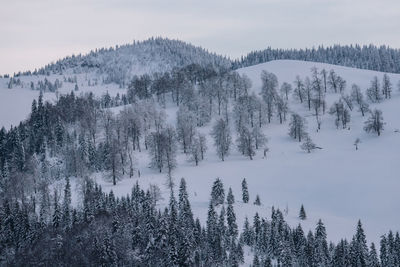 Panoramic view of snow covered mountain against sky