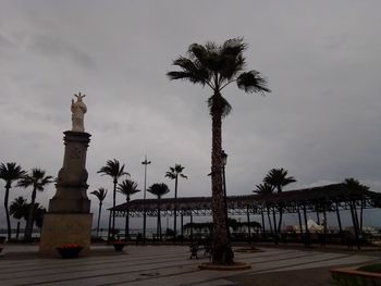 Low angle view of palm trees against sky