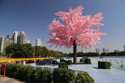 Trees in park against clear sky