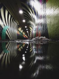 Reflection of trees in water