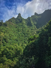 Scenic view of forest against sky