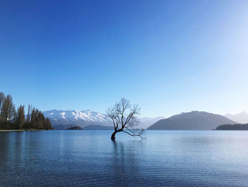 Scenic view of lake and mountains against clear blue sky