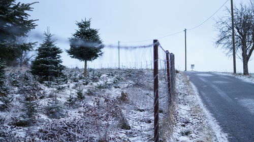 Snow covered trees against sky