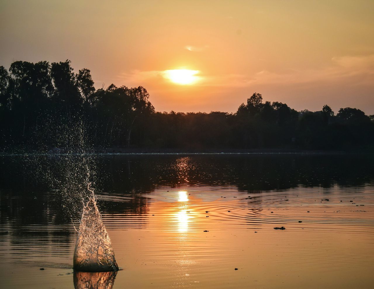 Idl lake , Hyderabad