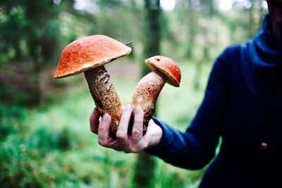Close-up of hand holding big mushrooms