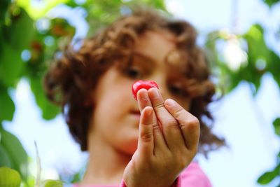 Close-up of cropped hand holding plant