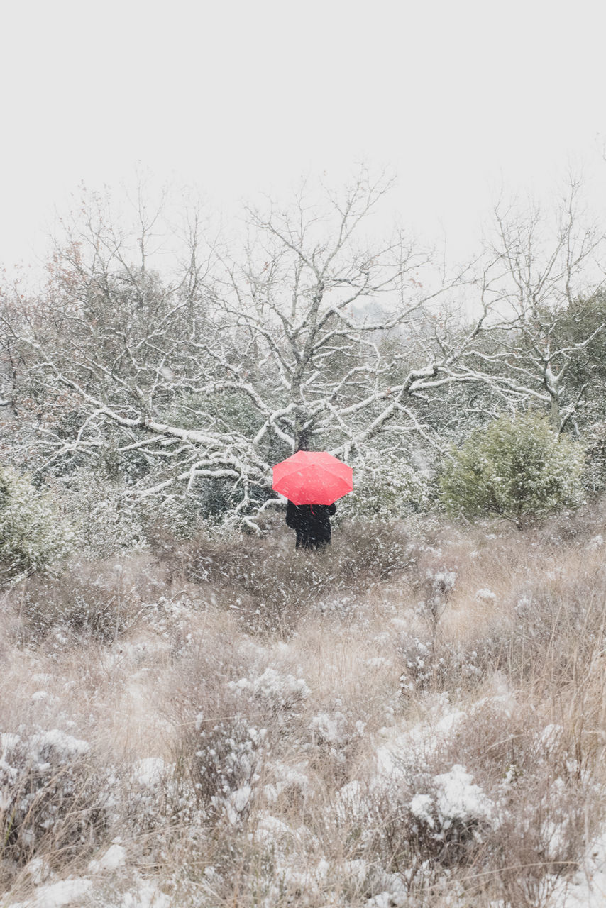 REAR VIEW OF PERSON WALKING ON SNOW COVERED LANDSCAPE