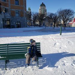 High angle view of city child looking to side 