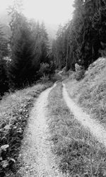 Road passing through landscape