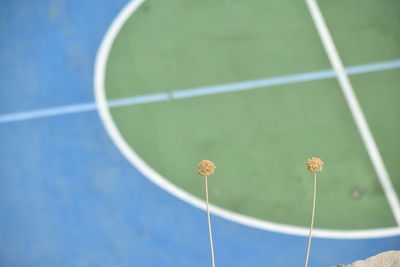 Low angle view of umbrella