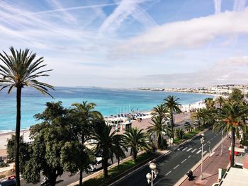 Palm trees by sea against sky in city