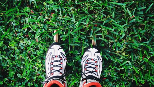 Low section of person wearing inline skates standing by plants