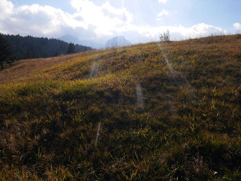 Scenic view of field against sky