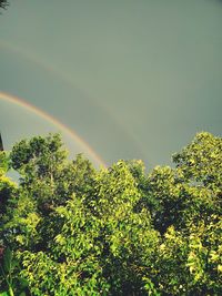 Low angle view of rainbow against sky