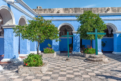 Potted plants against building