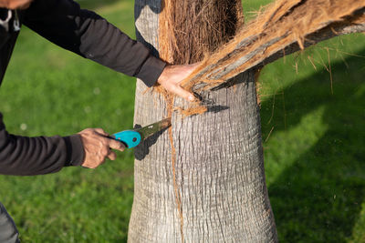 Midsection of man holding tree trunk