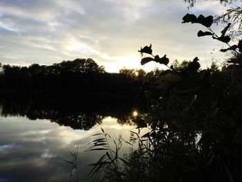 Silhouette trees by lake against sky during sunset